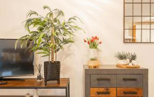 Habitación con TV y mesa con plantas. en 3Bedroom House Sleeps 6 Bradford, en Calverley