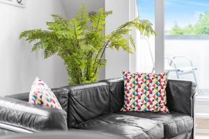 a black leather couch in a living room with a plant at Messe DUS, Parken, 3 Zimmer, 70qm in Duisburg