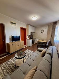 TV a/nebo společenská místnost v ubytování Sunrise apartments Becici