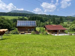 Příroda nedaleko apartmánu + 14 fotografií