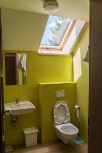 a bathroom with a toilet and a sink and a skylight at Apartments Kvasničník in Demanovska Dolina
