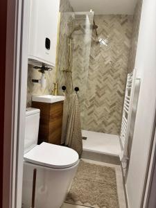 a bathroom with a toilet and a shower at Le Studio Romie in Le Portel +10 photos