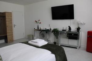 TV a/nebo společenská místnost v ubytování Résidence Appartment Gebenstorf