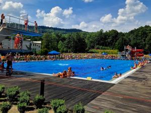 Bazén v ubytovaní Apartament Mountains Góry Sowie alebo v jeho blízkosti