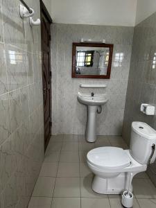 Abomey-CalaviにあるVilla palmier royal Calaviのトイレ、洗面台、鏡を備えたバスルーム