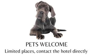 Fotografia z galérie ubytovania Smart Hotel Saslong v destinácii Santa Cristina in Val Gardena