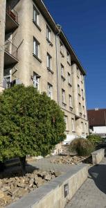a large building with a tree in front of it at ZnojmoApartment in Znojmo +3 photos