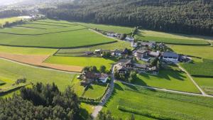 an aerial view of a house in a green field at Appartement- und Wellnesshotel Winkler in Falzes