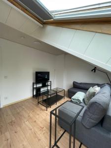 TV a/nebo společenská místnost v ubytování Charmante Dachgeschosswohnung bis zu 6 Gäste + 13 fotografií
