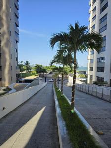 a palm tree on the side of a street at Beach Class Executive in Recife