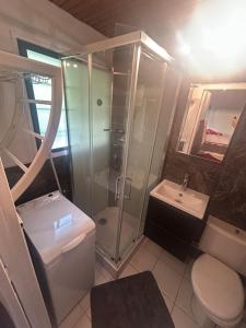 a bathroom with a shower and a toilet and a sink at Cozy apartment in Arâches-la-Frasse