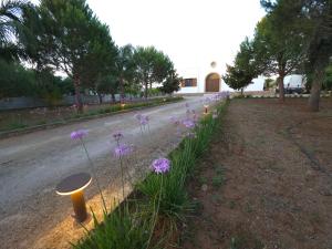 Zahrada ubytování Villa Denu Salento - Intera Dimora con Piscina ad uso esclusivo