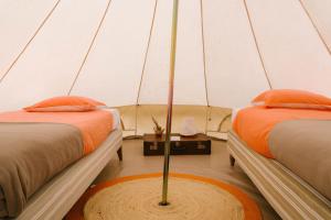 坡隆维茨普尔扎伊The Glamping Spot - Douarnenez的帐篷里有两张床的房间