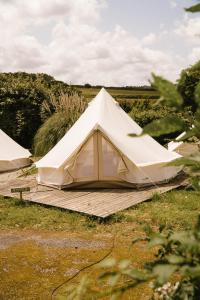 坡隆维茨普尔扎伊The Glamping Spot - Douarnenez的田野木甲板上的白色帐篷