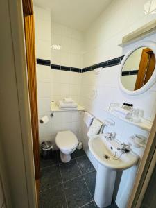 a bathroom with a white toilet and a sink at The Villa Hamilton in Hamilton +8 photos