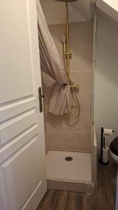 a shower in a bathroom with a shower backdoor at Charmant petit appartement avec terrasse in Agen +17 photos