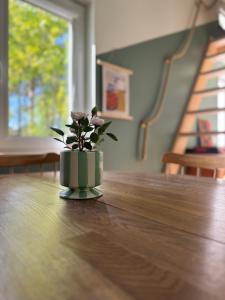Foto sihtkohas Västervik asuva majutusasutuse StoneHill galeriist