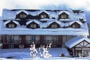 un bâtiment recouvert de neige avec des toits recouverts de neige dans l'établissement Edelweiss Hotel, à Goudaouri