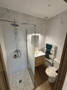 a bathroom with a shower and a toilet and a sink at La Jade in Narbonne +22 photos