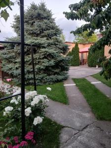 Zahrada ubytování Casa Cristian