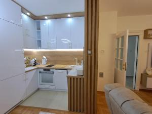 Kuchyň nebo kuchyňský kout v ubytování Apartman PETRA QUEEN