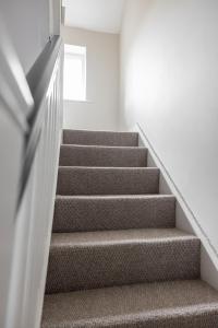 a staircase in a white room withbrown carpet at Hillview House in Belfast
