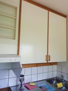 ウプサラにあるApartment rentの白いキャビネットとシンクのあるキッチン