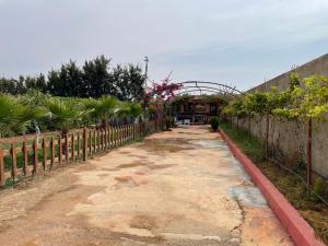 Fotografie z fotogalerie ubytování Bungalow avec piscine v destinaci Oran