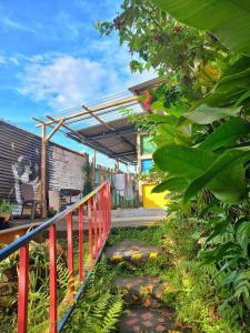 Zahrada ubytování Kimaná Hostal