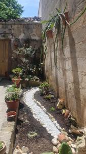 Gallery image of La Maison d'Eugenia in Casamassella