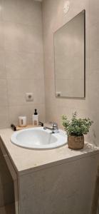 a bathroom sink with a potted plant on a counter at Quinta Do Vale 32 by AL in Guia
