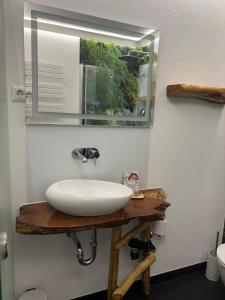 a bathroom with a white sink and a mirror at Apartment Seeidyll in Groß Köris