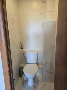a white toilet in a bathroom with marble walls at Apartaments Kaunas in Kaunas +8 photos
