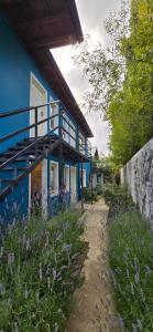 Una casa azul con balcón y flores moradas. en Apart Guillaumet, en El Chaltén