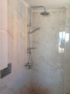 a shower in a bathroom with a glass door at Amalia Harbor in Halki