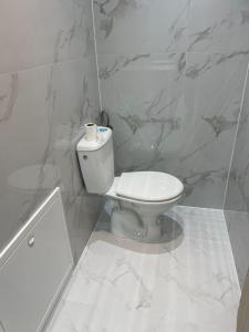 a white bathroom with a toilet and marble walls at Apartman Flora Vlasic in Vlasic