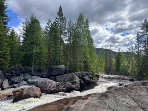 a river with rocks and trees in a forest at Nord-Garthus, leilighet 2 in Hølera