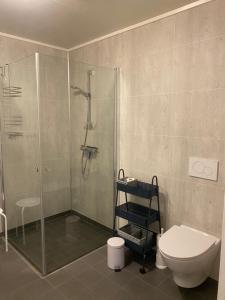 a bathroom with a shower and a toilet at Central Lofoten Apartment - Sleeps 4 in Vestvågøya