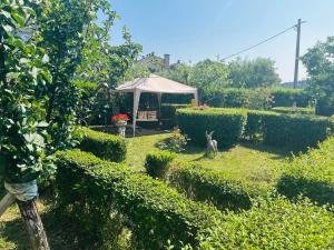 Zahrada ubytování Guesthouse Mira