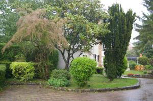 un giardino con un albero e cespugli di fronte a una casa di Juniper House a Vulaines-sur-Seine