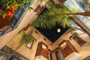 a tree filled with lots of green plants at Riad Puchka in Marrakesh