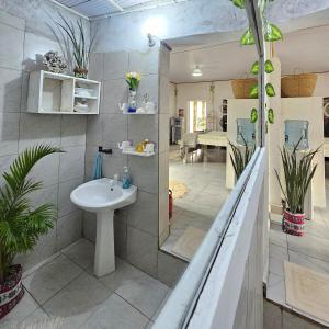 Kuchyň nebo kuchyňský kout v ubytování Palm Paradise