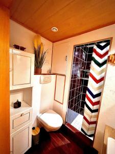 a small bathroom with a toilet and a shower at Appartement studio in Boersch +11 photos