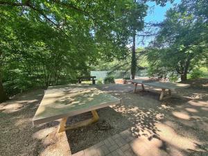 two picnic tables in a park under a tree at Appartement studio in Boersch