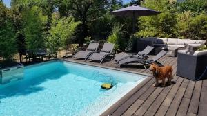 Πισίνα στο ή κοντά στο Bastide avec jardin arboré, piscine, proche plages