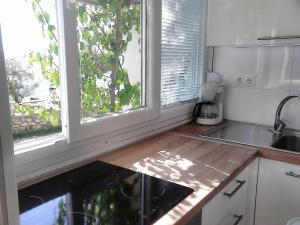 Apartment Sanja tesisinde mutfak veya mini mutfak