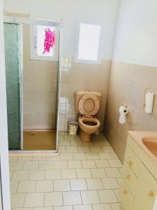 a bathroom with a toilet and a shower at kew house in Melbourne
