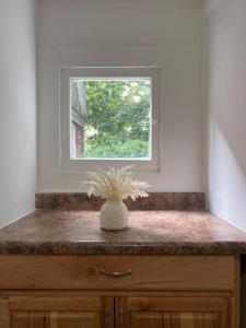 een vaas op een toonbank voor een raam bij Finger Lakes Apartment in Hornell