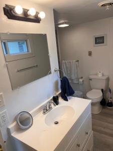 een badkamer met een wastafel en een spiegel en een toilet bij Finger Lakes Apartment in Hornell +11 foto's