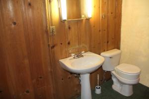 Oak ParkにあるBeautiful, Cozy Stay in Oak Park, Queen Bedroom, Work Setup & Backyard Grillのトイレと洗面台付きのバスルーム +16枚の写真